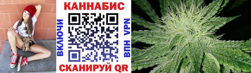 Купить закладки  Шуя  Конопля сатива 